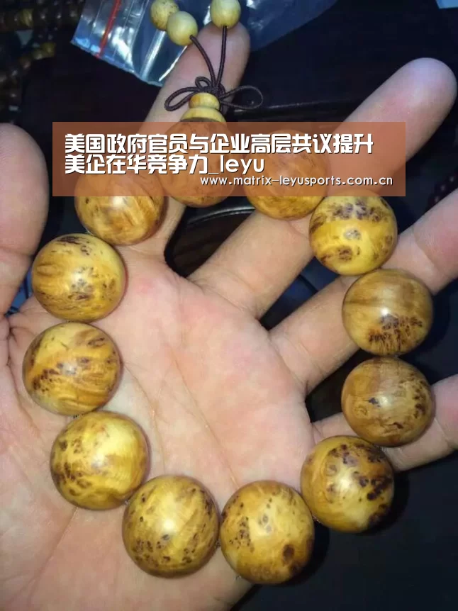 美国政府官员与企业高层共议提升美企在华竞争力_leyu(图1) 美国政府官员与企业高层共议提升美企在华竞争力_leyu(图1)