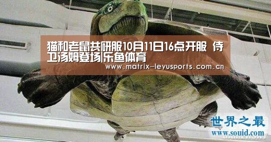 乐鱼体育app下载