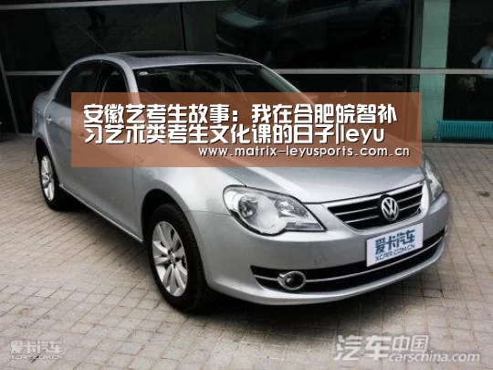 安徽艺考生故事:我在合肥皖智补习艺术类考生文化课的日子|leyu(图1) 乐鱼