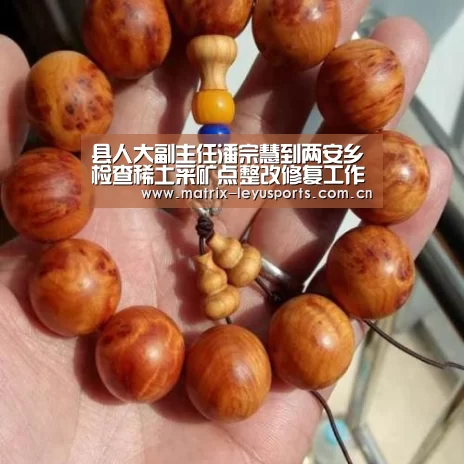 县人大副主任潘宗慧到两安乡检查稀土采矿点整改修复工作_乐鱼(图3) 县人大副主任潘宗慧到两安乡检查稀土采矿点整改修复工作_乐鱼(图3)