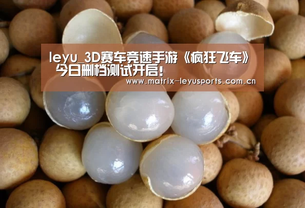 leyu_3D赛车竞速手游《疯狂飞车》 今日删档测试开启!(图1) 乐鱼