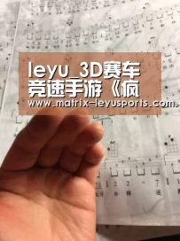 leyu_3D赛车竞速手游《疯狂飞车》 今日删档测试开启!(图4) leyu_3D赛车竞速手游《疯狂飞车》 今日删档测试开启!(图4)