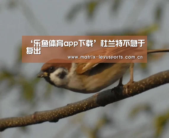 ‘乐鱼体育app下载’杜兰特不急于复出(图2) 乐鱼体育