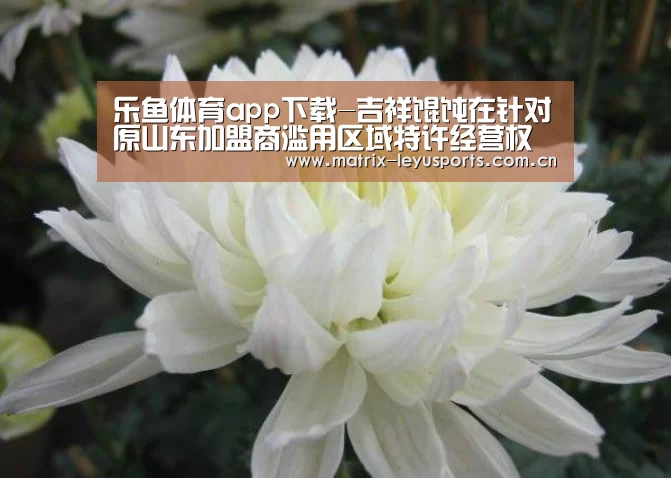 乐鱼体育app下载-吉祥馄饨在针对原山东加盟商滥用区域特许经营权案中胜诉(图2) 乐鱼