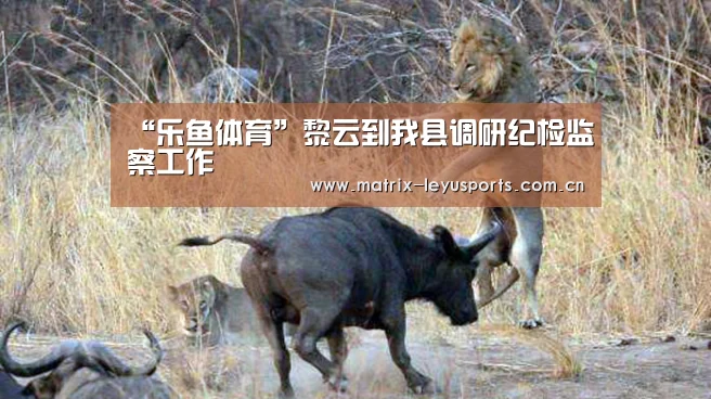 “乐鱼体育”黎云到我县调研纪检监察工作(图1) 乐鱼体育