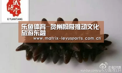 乐鱼体育app下载
