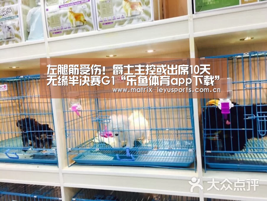 乐鱼体育app下载